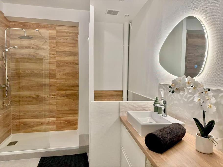 L'Orchidee - Netflix - Wi-Fi - Proche Centre Apartment Troyes Luaran gambar