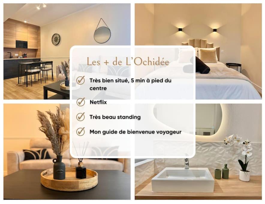 L'Orchidee - Netflix - Wi-Fi - Proche Centre Apartment Troyes Luaran gambar
